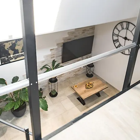 Loft Avec Jardin Et Parking Prive Troyes